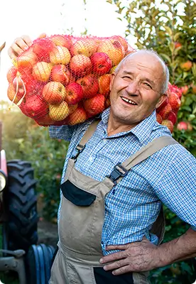 the older man with the apples