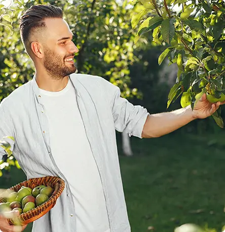 the younger man with the apples