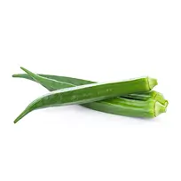 capsicum