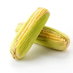 corn